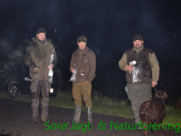 Hundetræning forår 2017